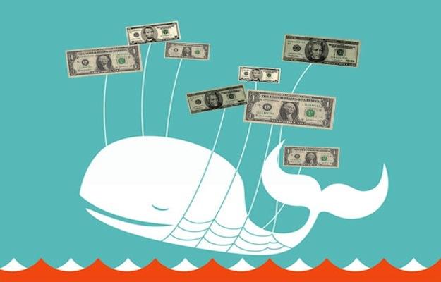 twitter whale money