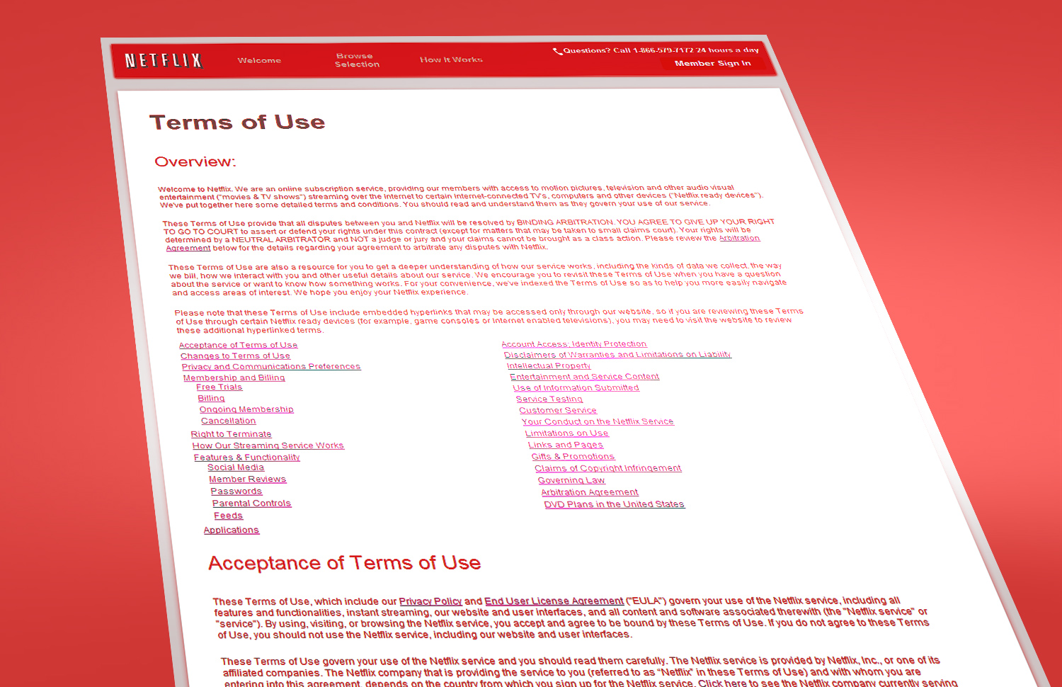 Terms and Conditions: Netflix