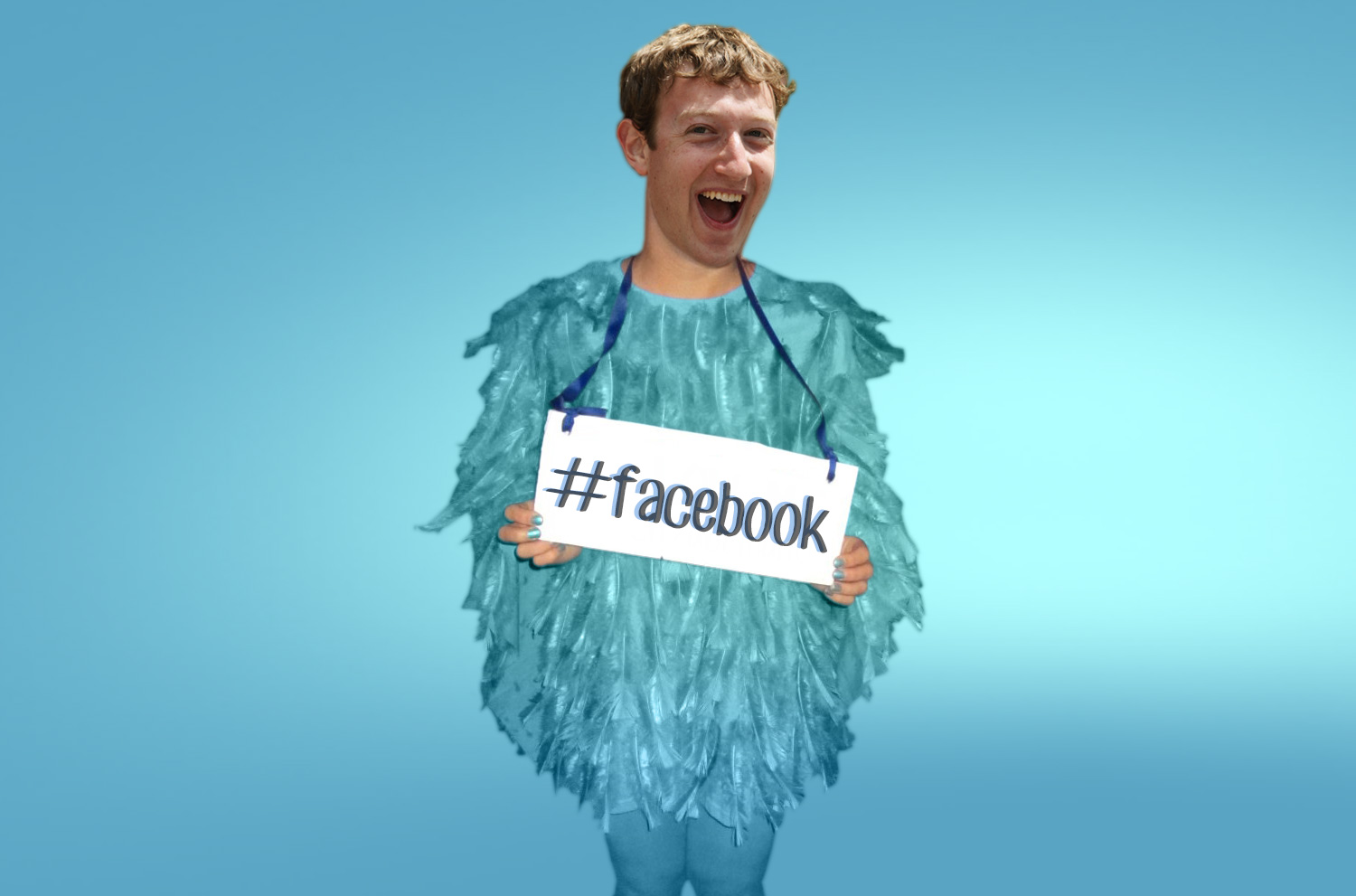 zuckerbird header