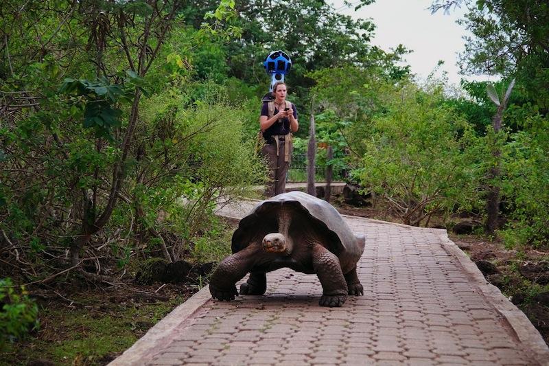 street view galapagos