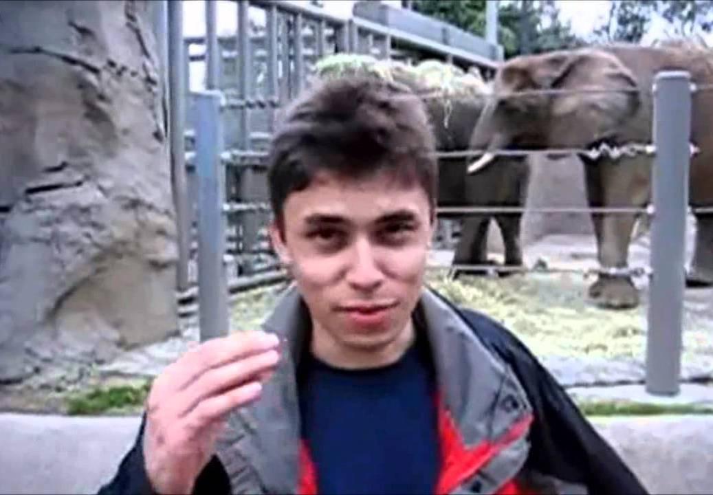 youtube google plus jawed karim comment maxresdefault