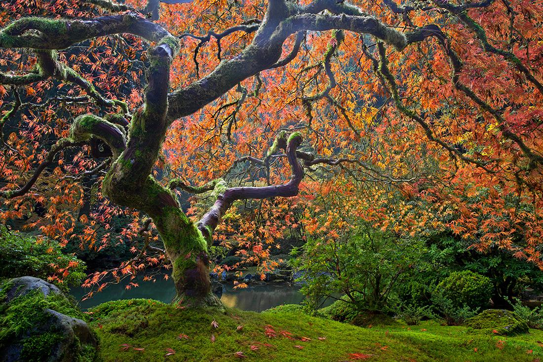 Benjamin Edelstein landscape photo 4