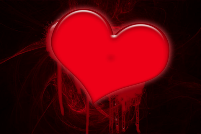 openssl foundation president asks financial support wake heartbleed bleeding heart 2