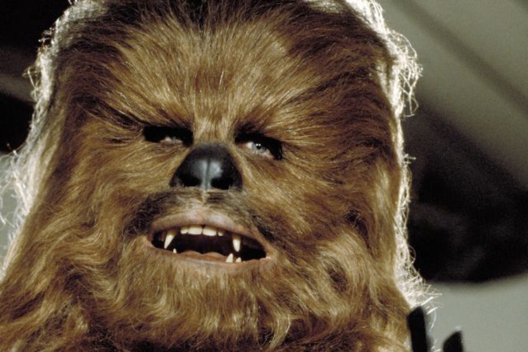 han solo movie chewbacca origin