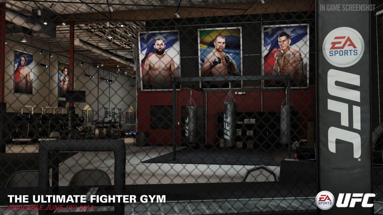 ea sports ufc career online modes revealed