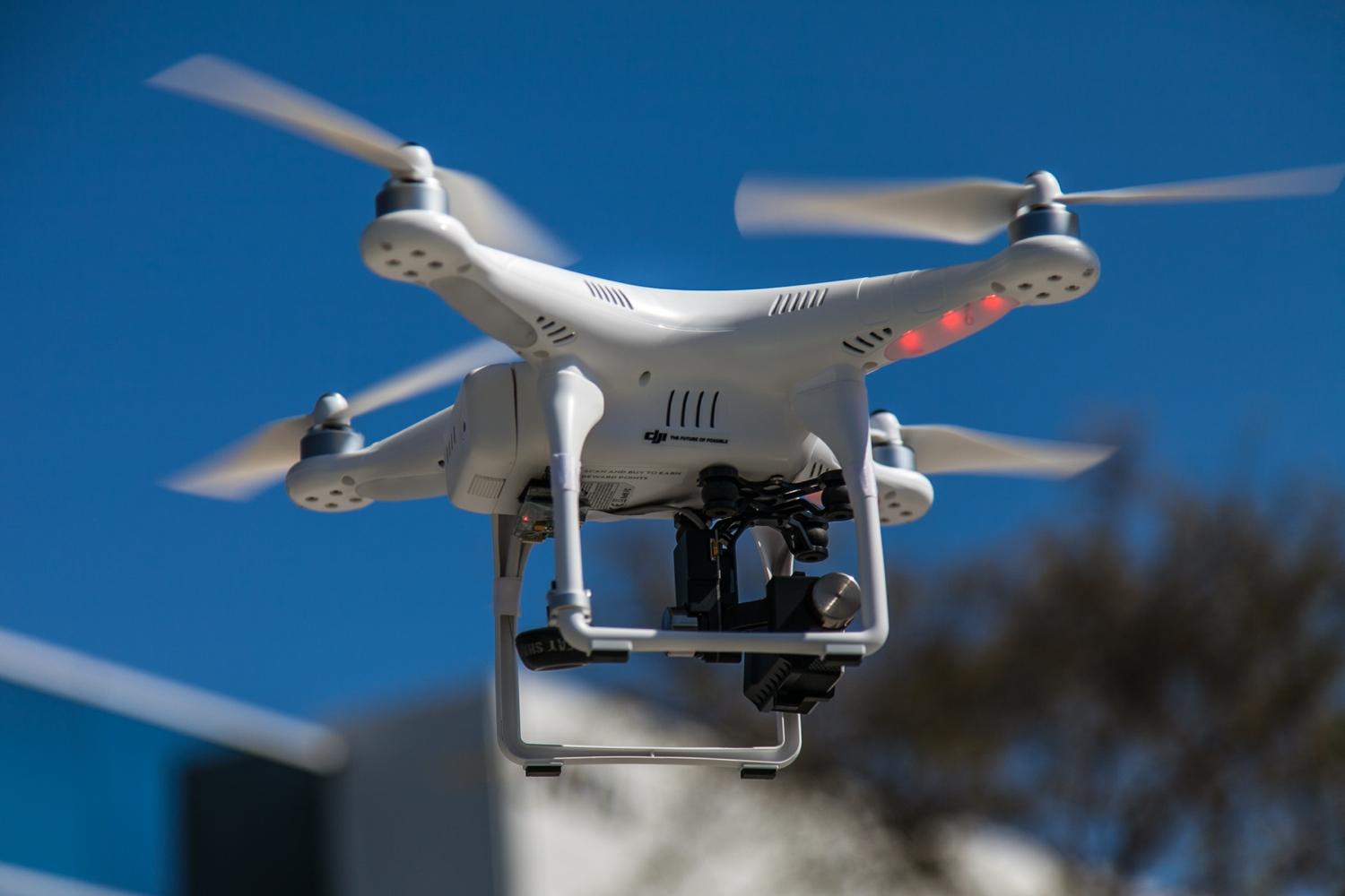 apparently drones scare the bejeezus out of black bears aerial drone