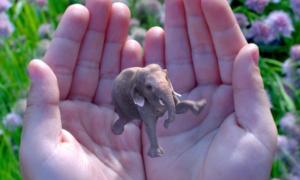 google leads major investment magic leap