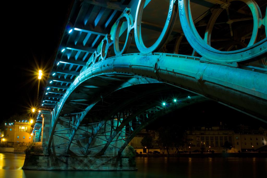 woman plunges death trying take selfie puente de triana