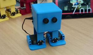 BQ Robot 1