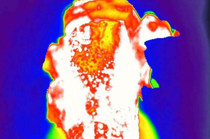 exploding lithium ion batteries thermal view li explosion