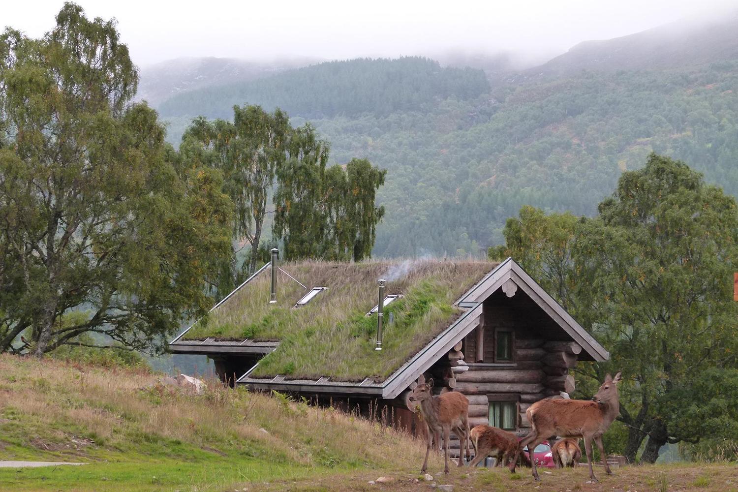 retreat from society and relax in these idyllic cabins around the world eagle brae highland log 14