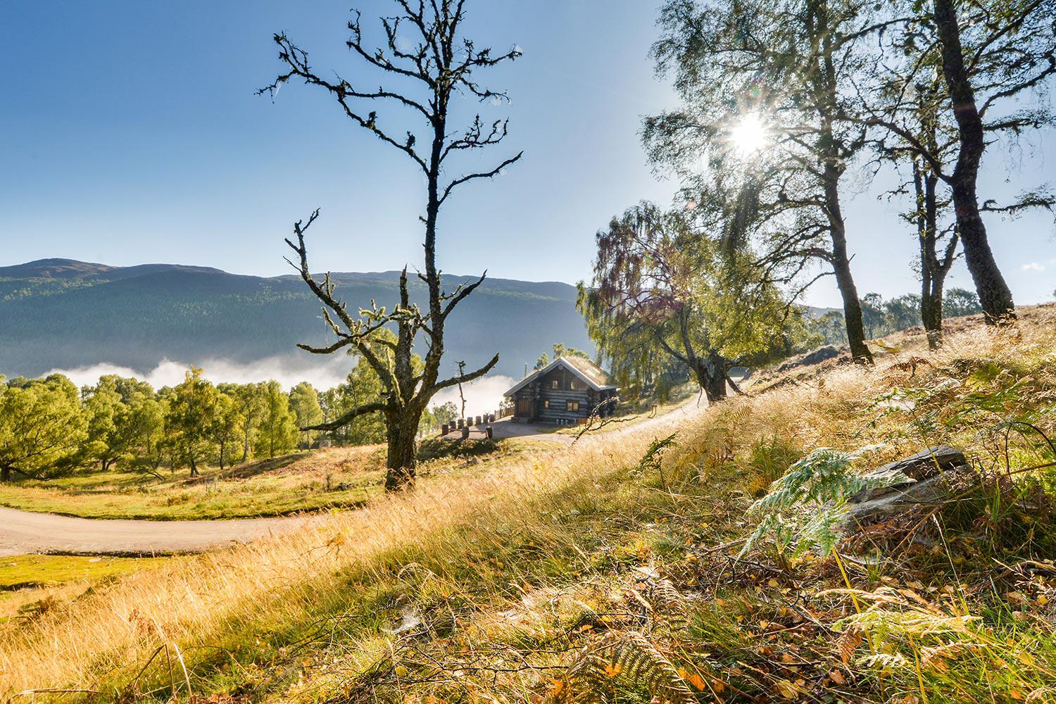 retreat from society and relax in these idyllic cabins around the world eagle brae resort 1