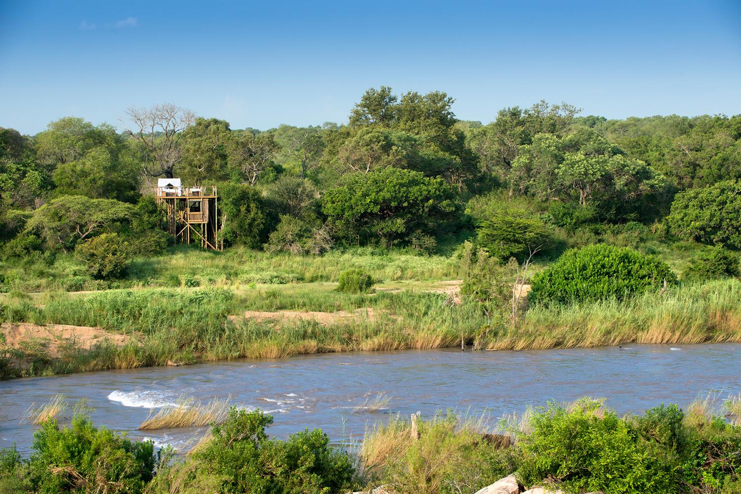 retreat from society and relax in these idyllic cabins around the world lion sands game reserve 9