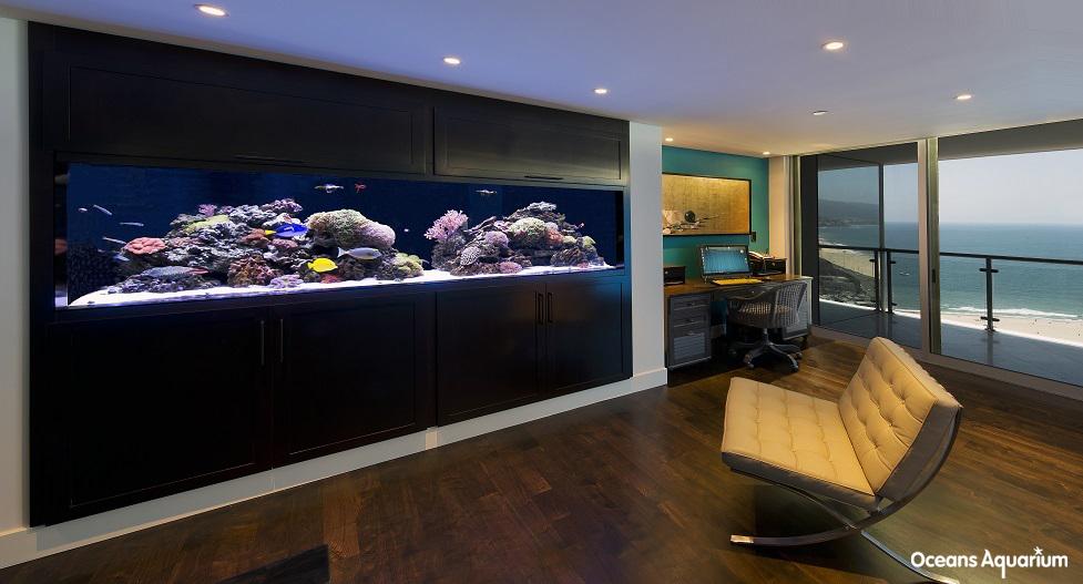 homes with their own shark tanks 1