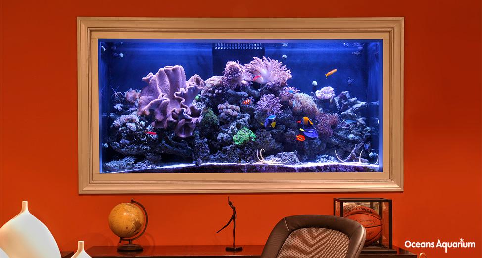 homes with their own shark tanks bg8