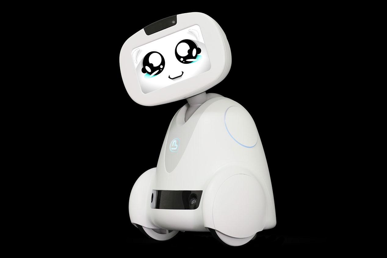 buddy companion robot hands on design