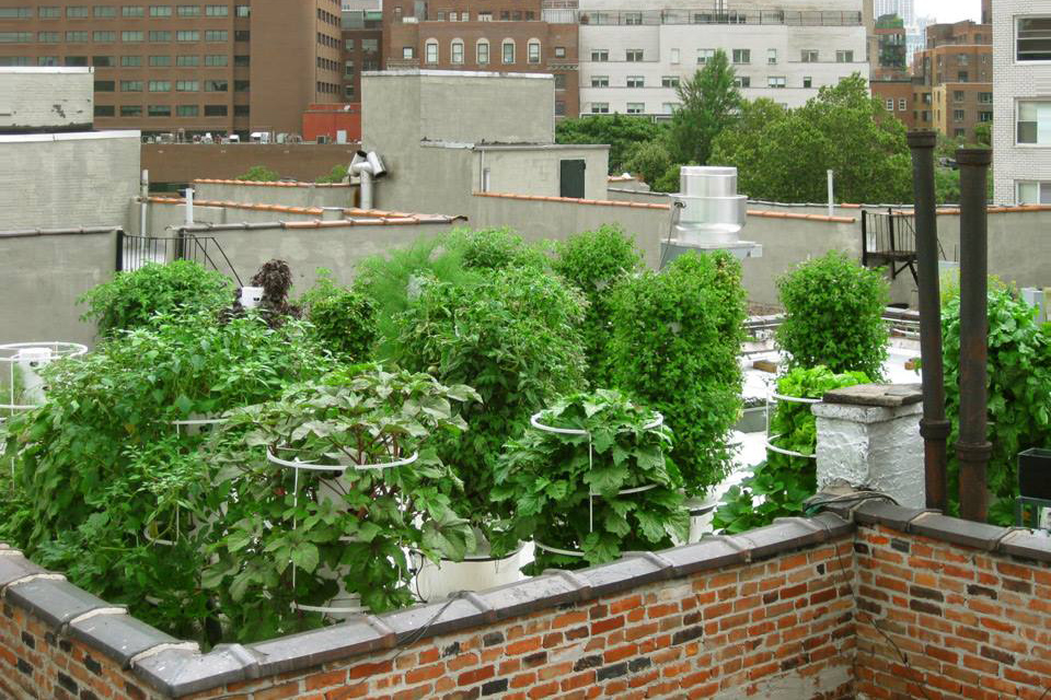 Bell Book & Candle Aeroponic Garden