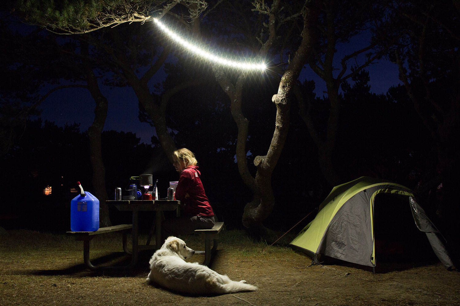 the luminoodle is a portable led light strip camp lighting hero