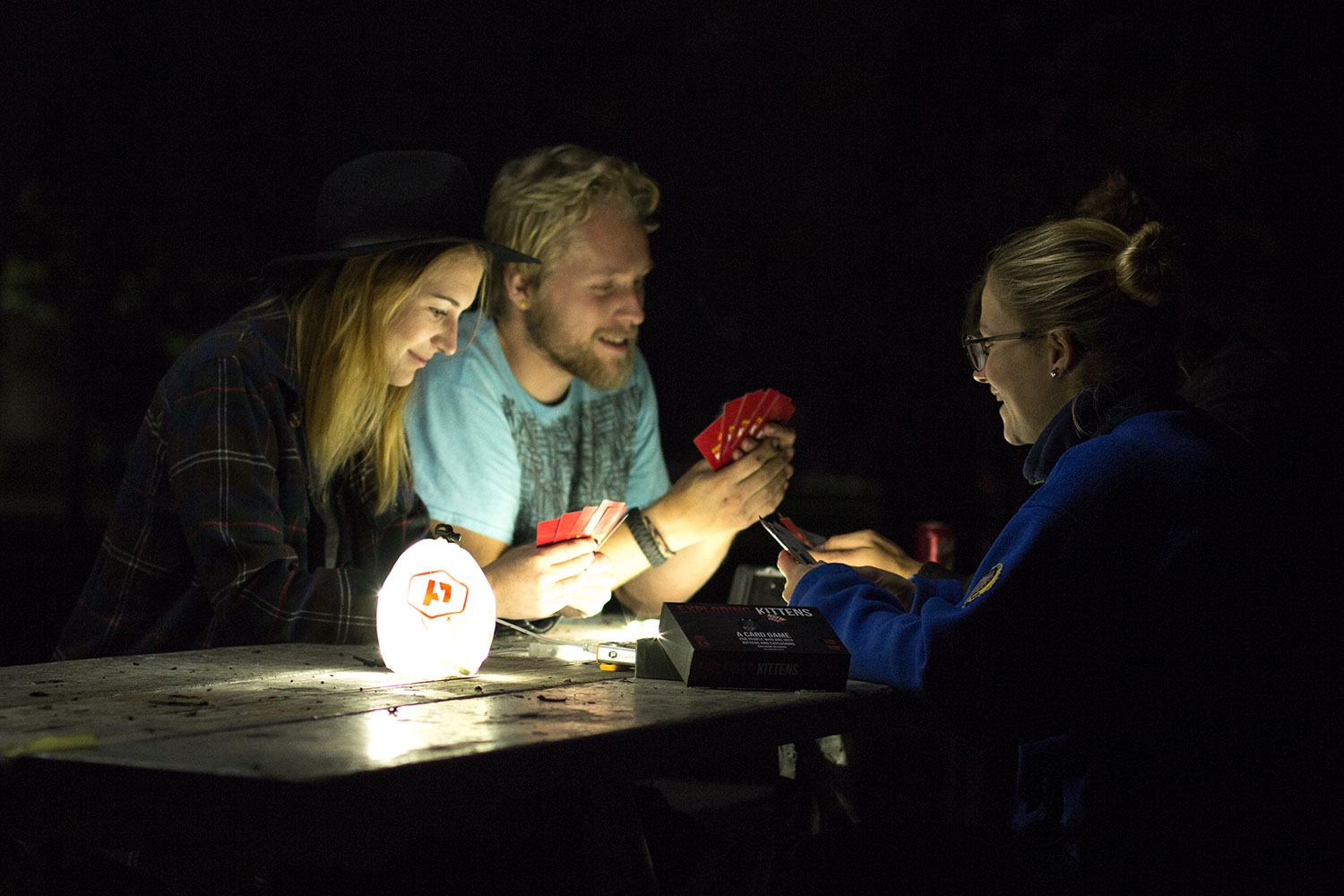 the luminoodle is a portable led light strip picnic lantern