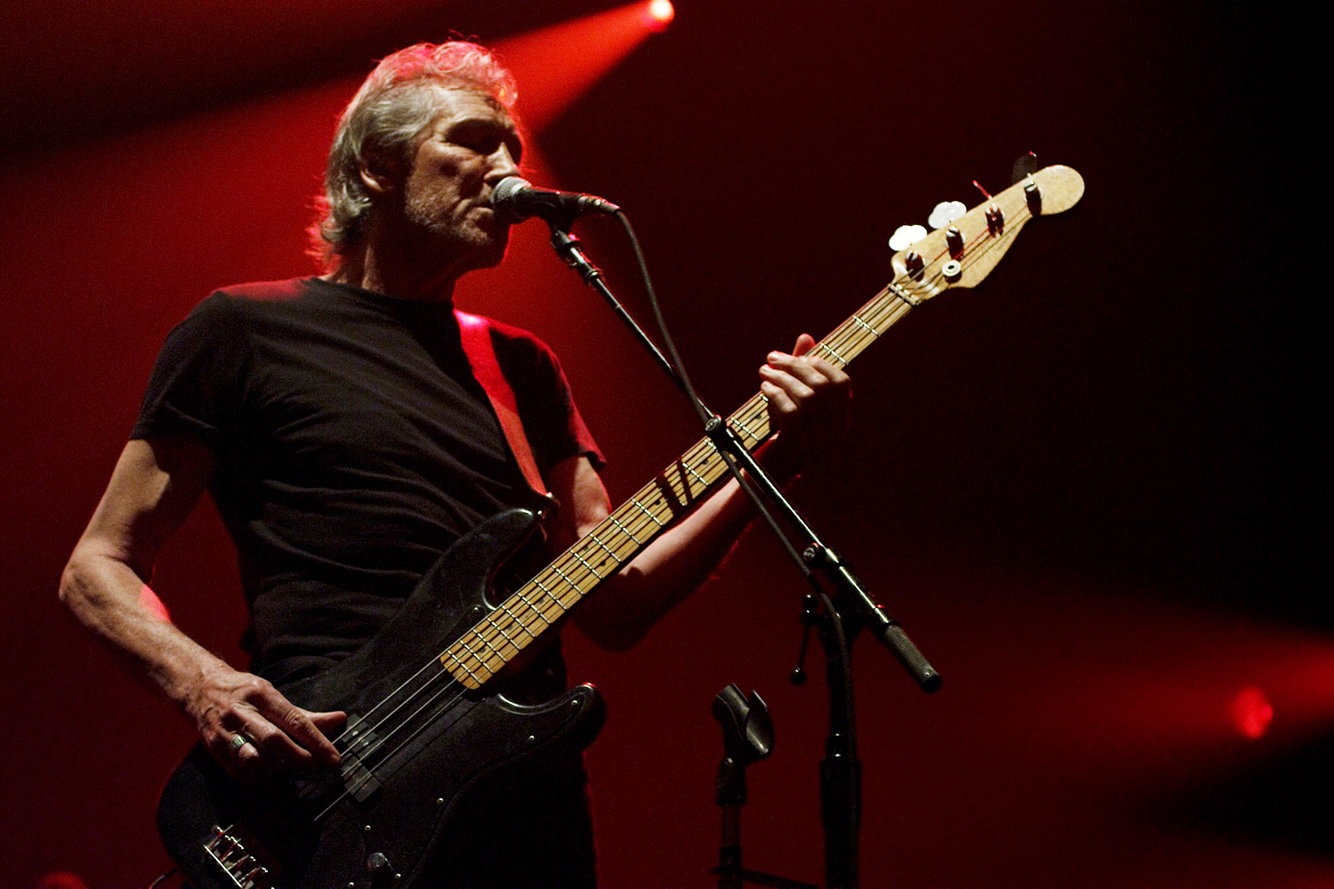 The Audiophile Roger Waters