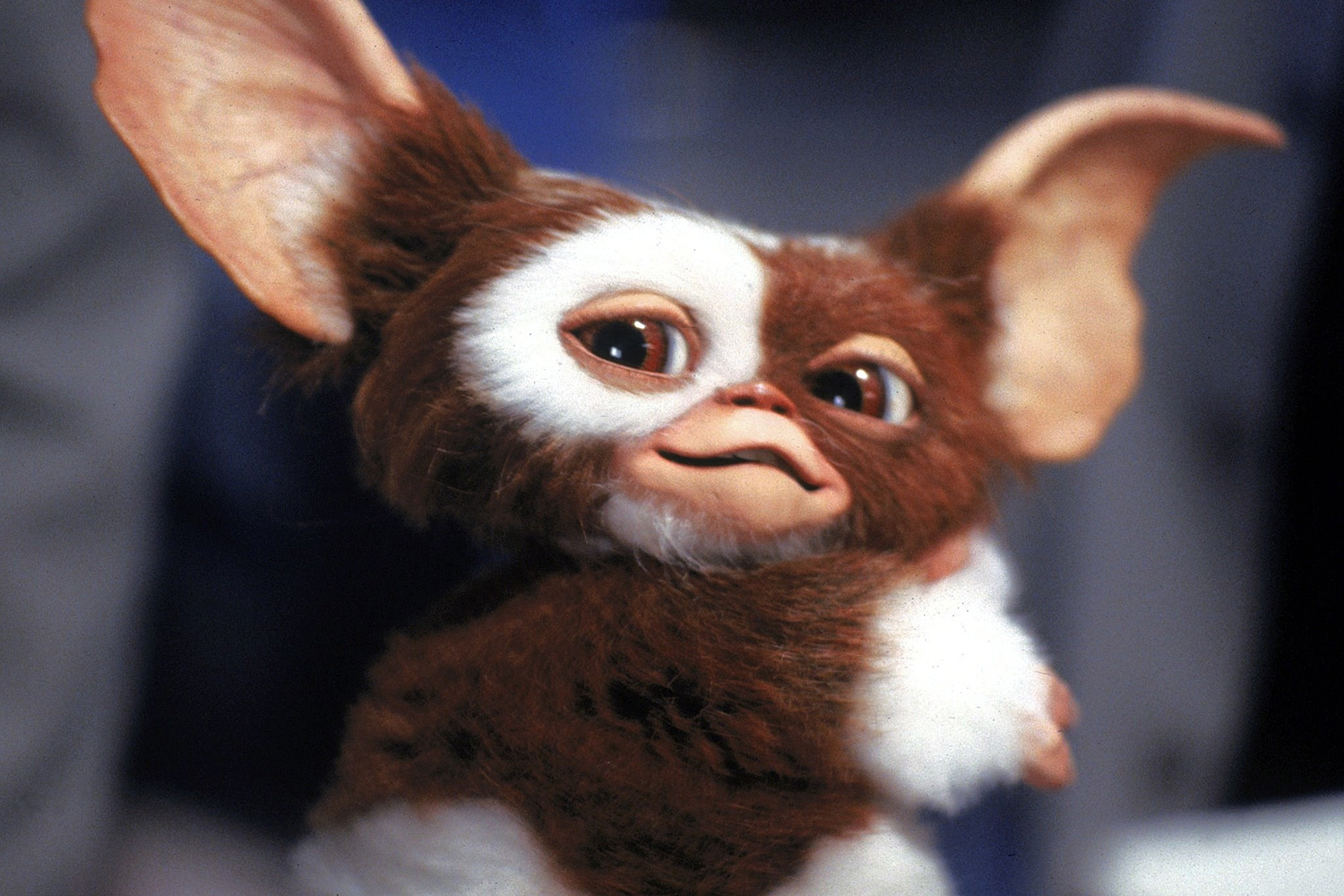 Gremlins 3 Gizmo