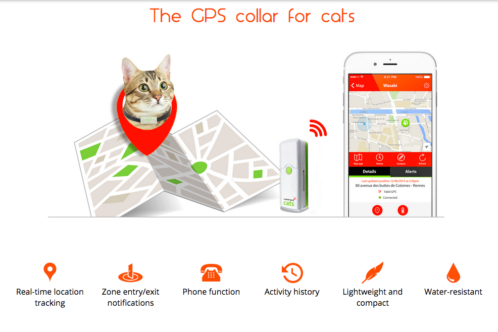 need to talk your cat you may weenects mobile phone for felines screen shot 2015 10 15 at 6 56 12 pm