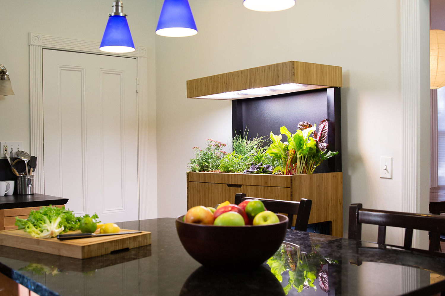 the grove ecosystem launches a kickstarter for its indoor garden a27a4805