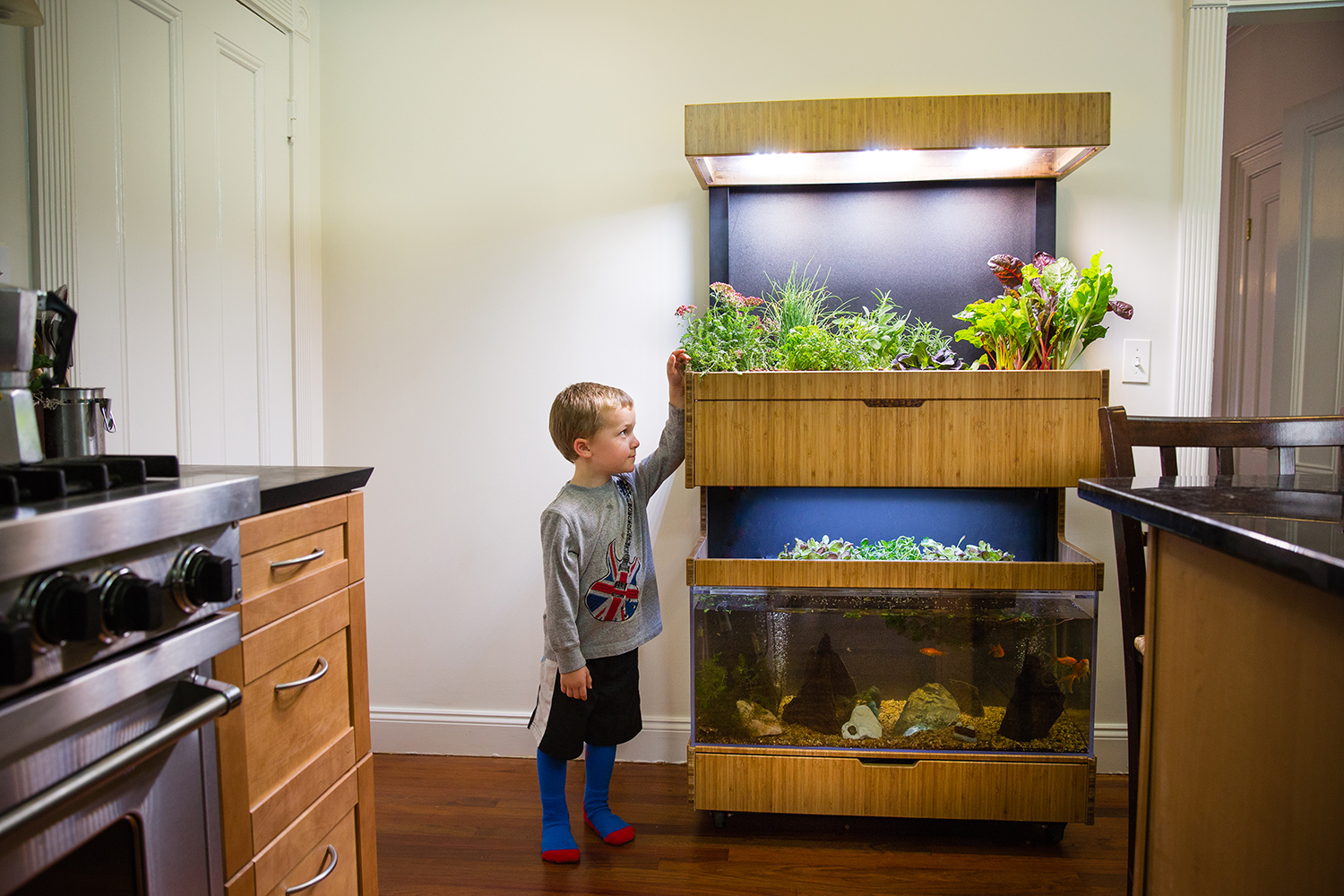 the grove ecosystem launches a kickstarter for its indoor garden a27a4820