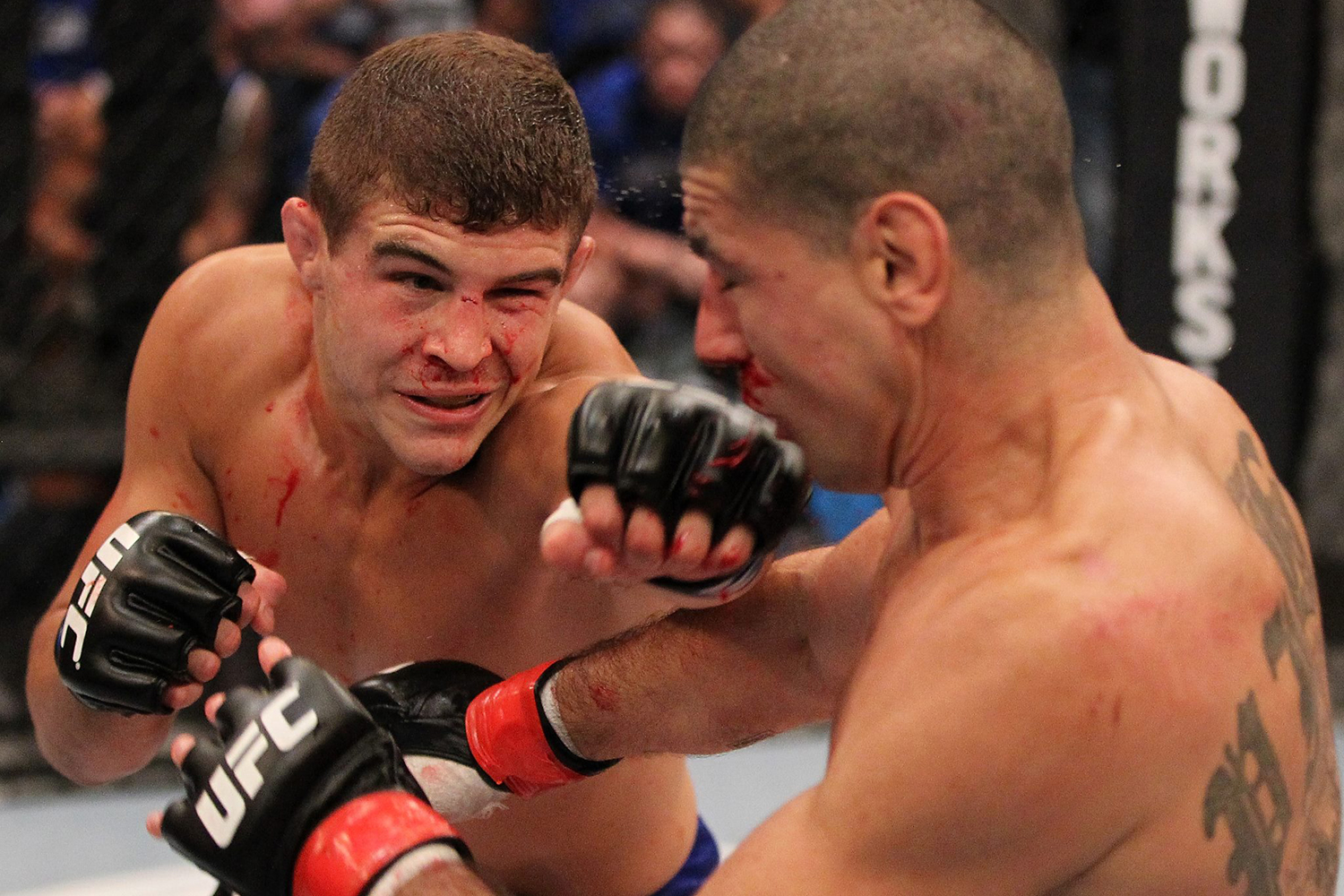 evox eeg brain reader from evoke neuroscience helps mma fighters al iaquinta