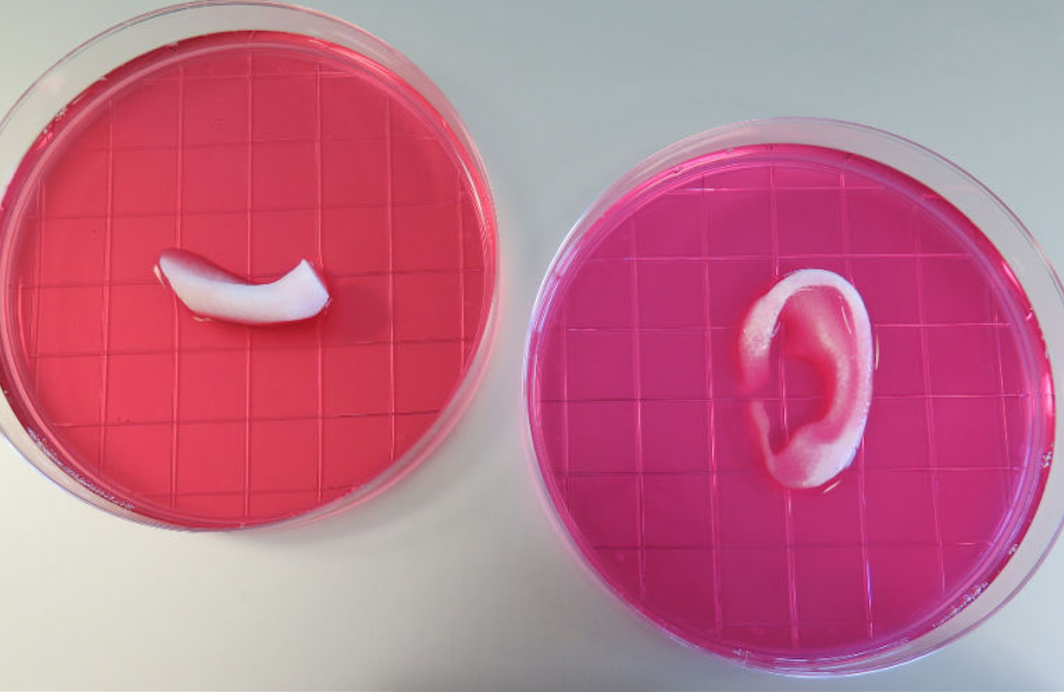 3d printed human organs for transplant screen shot 2016 02 15 at 1 57 pm