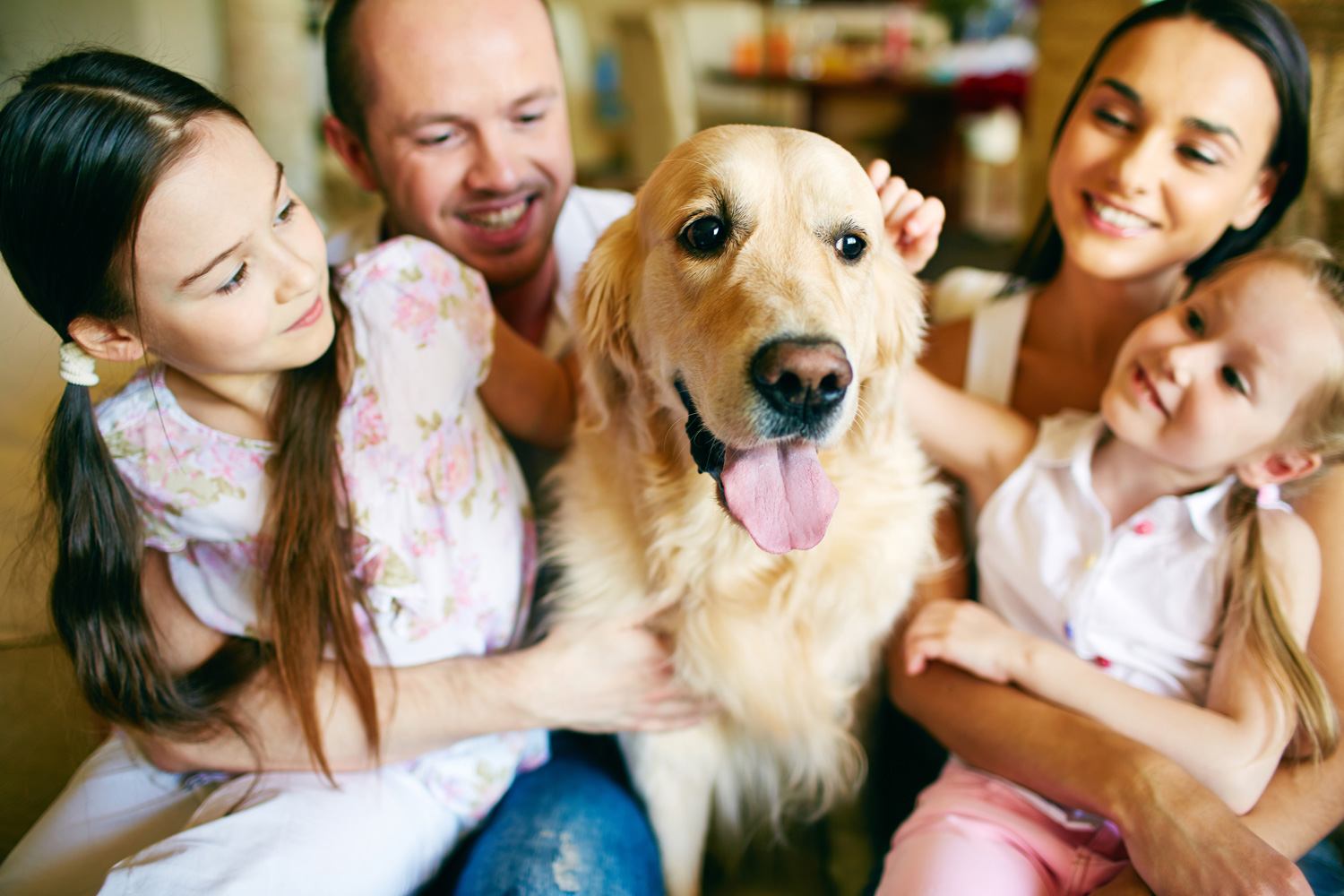 best-pet-hair-remover