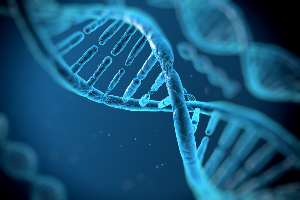 dna identification test double helix