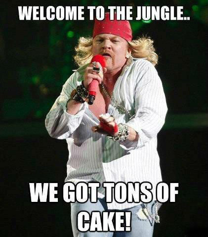 axl rose wants his fat memes off the internet meme