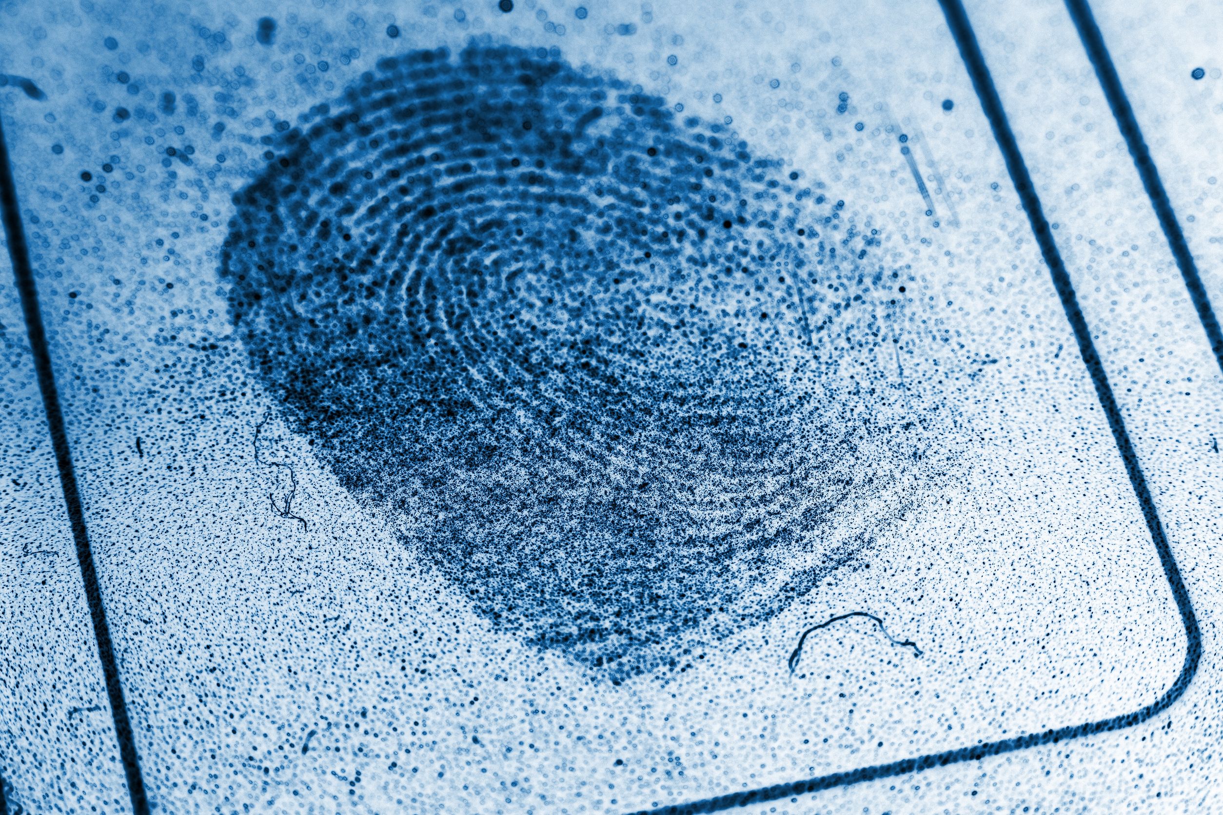 murder victim fingerprint unlocks phone 8355210  dusty record