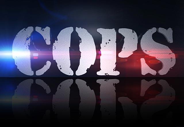 cops tv movie logo