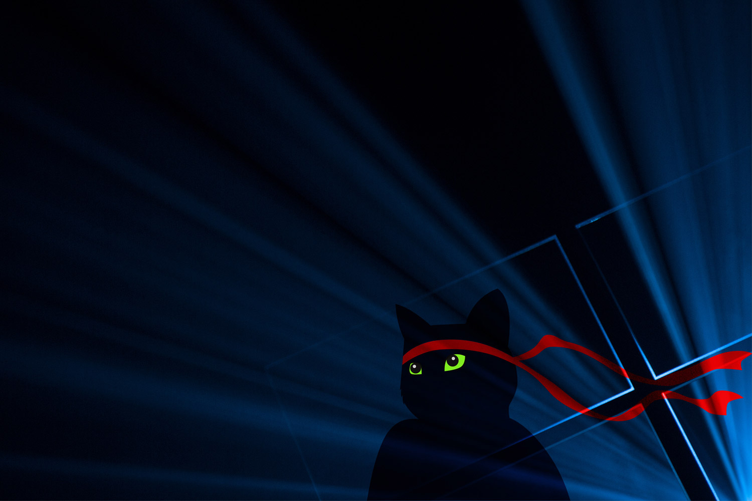 windows 10 ninja cat anniversary ninjacat