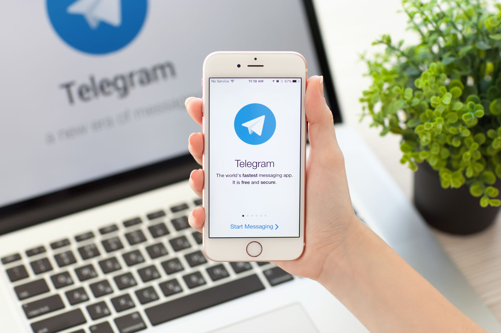 telegram