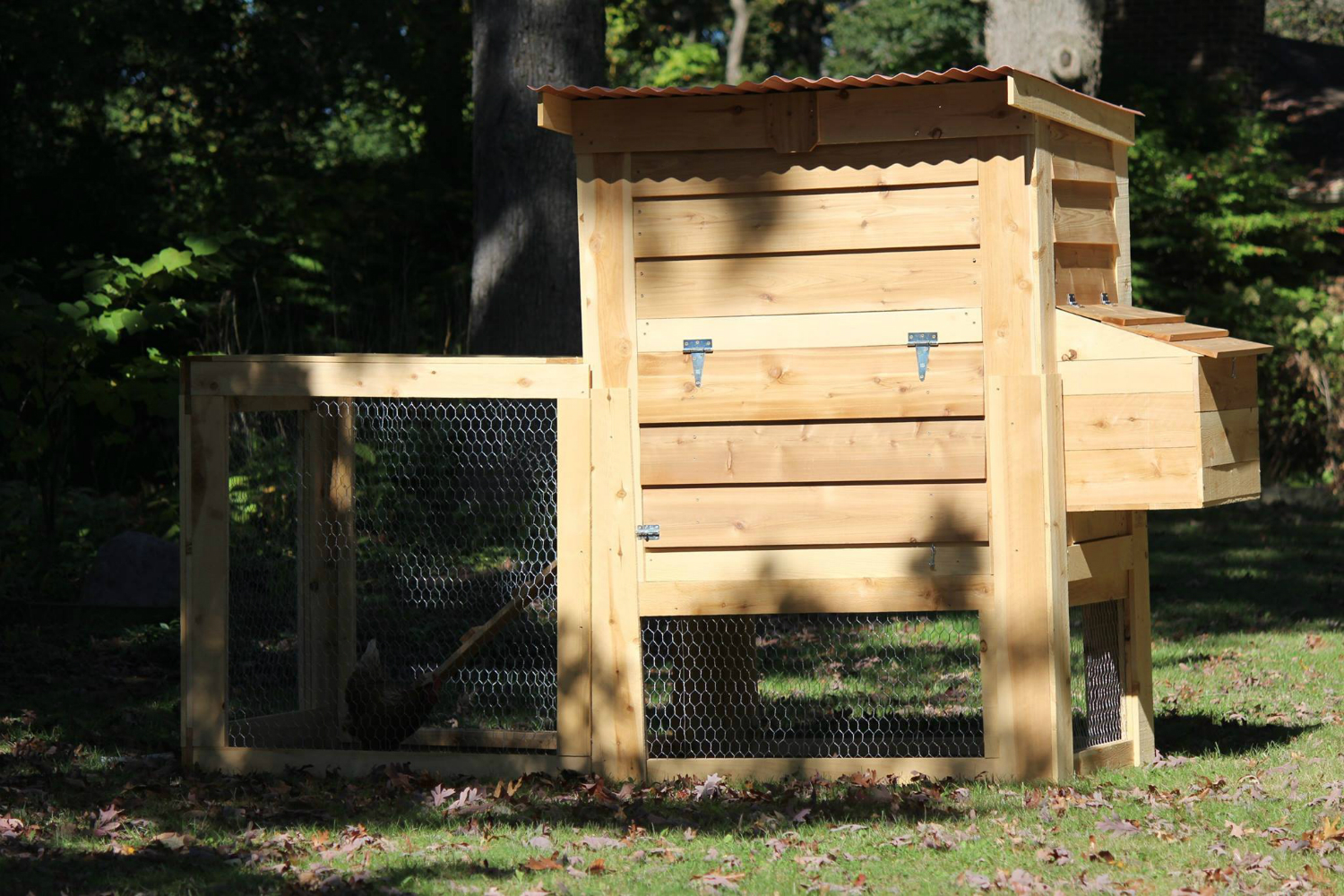 smart chicken coop my connected