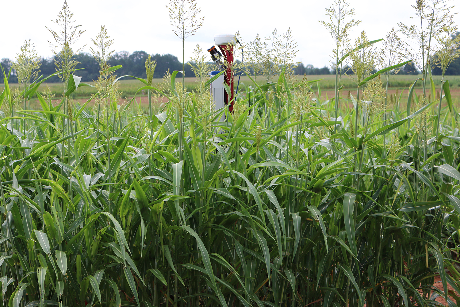 future of food carnegie mellon farming project university robotics farmview 6