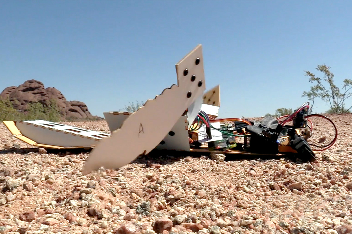 robot turtles detect landmines robo turtle