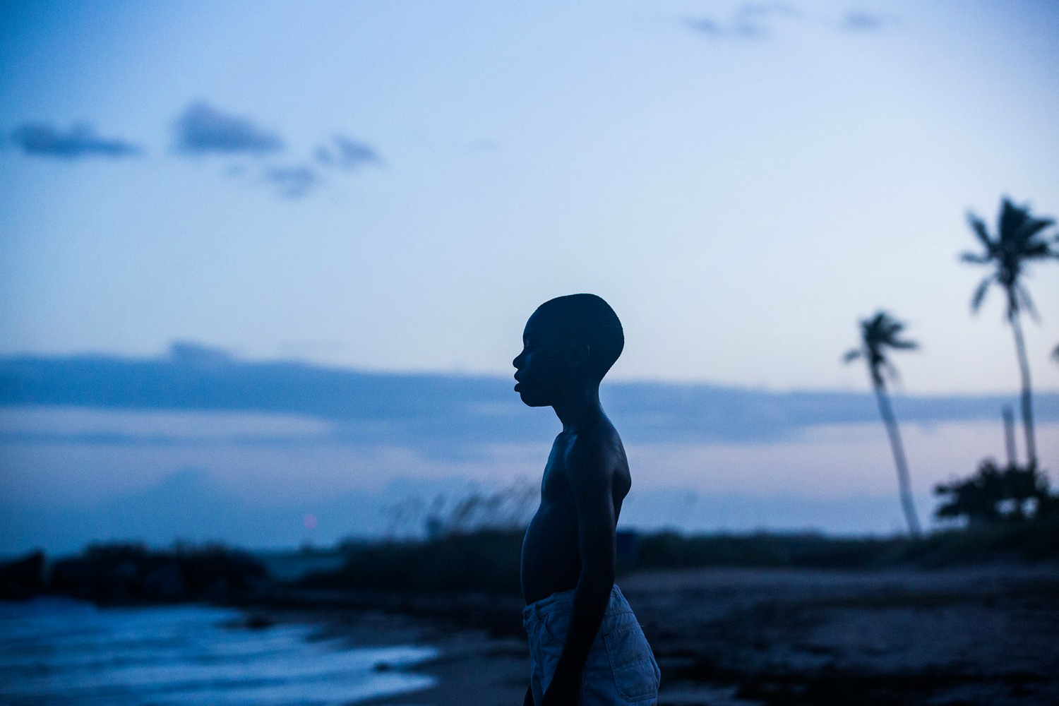 Alex R. Hibbert in Moonlight (2016)