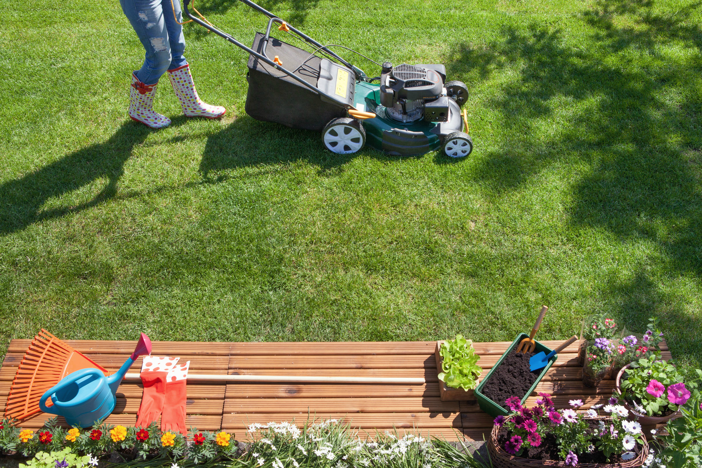 summer lawn care tips