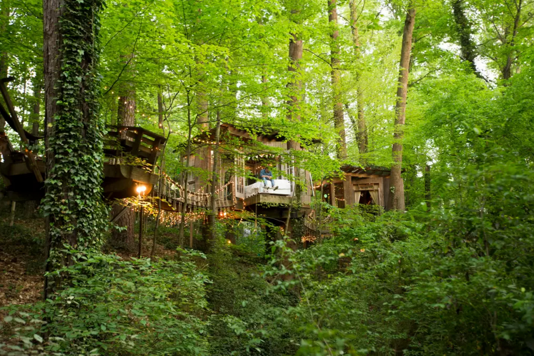 treehouse airbnb