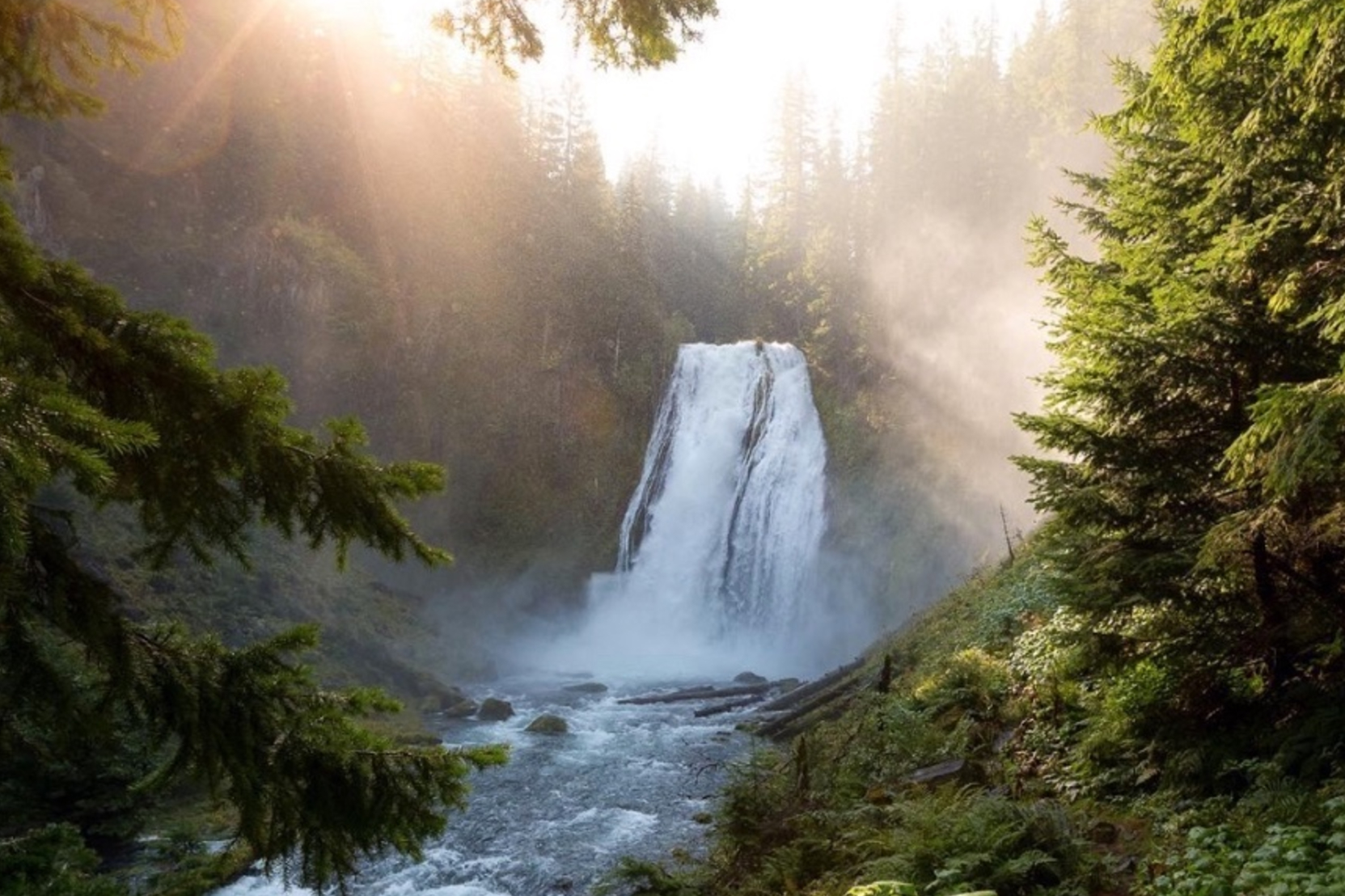 best instagram accounts pnw 4