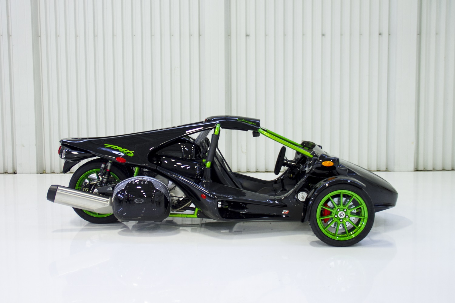 Campagna T-Rex