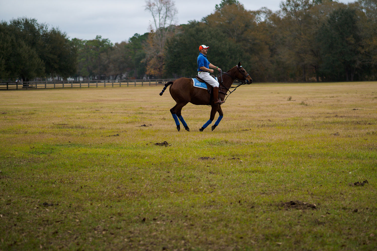 olympus mzuiko 45mm f12 pro review f1 2 sample 6