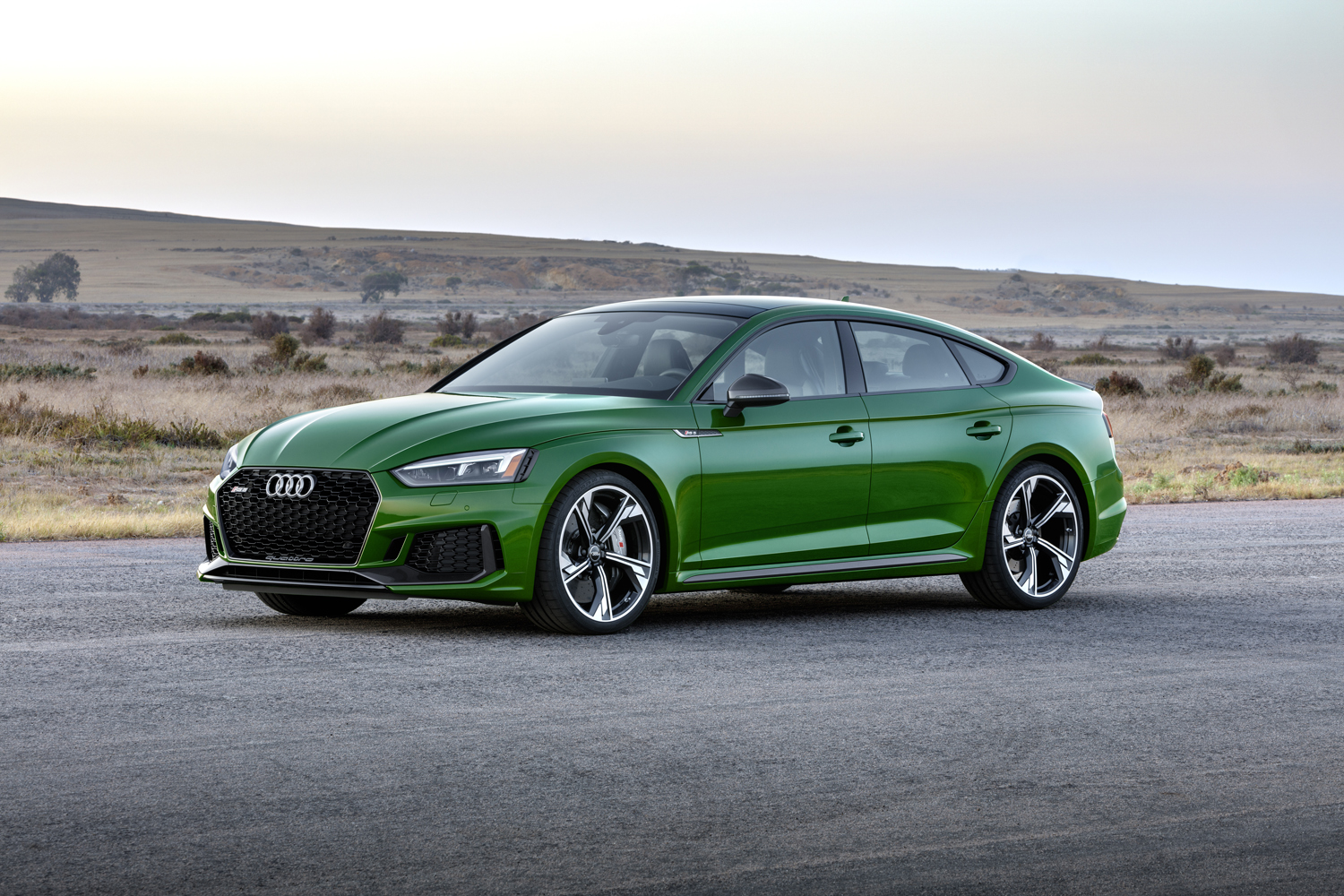 2019 Audi RS 5 Sportback