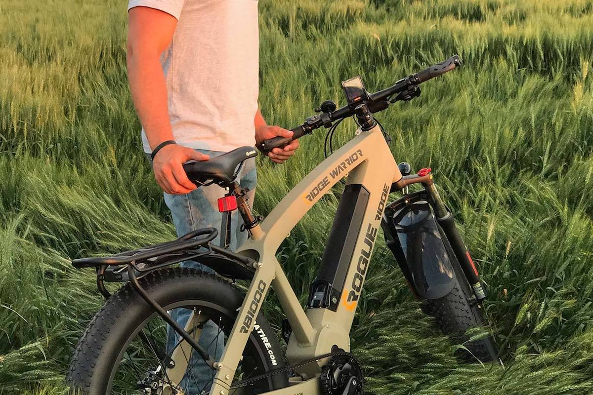 Rogue Ridge Fat Tire eBike