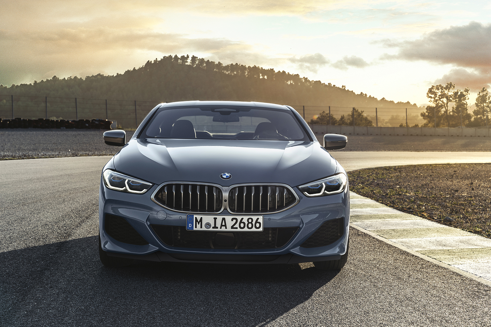 2019 bmw 8 series pictures specs  1