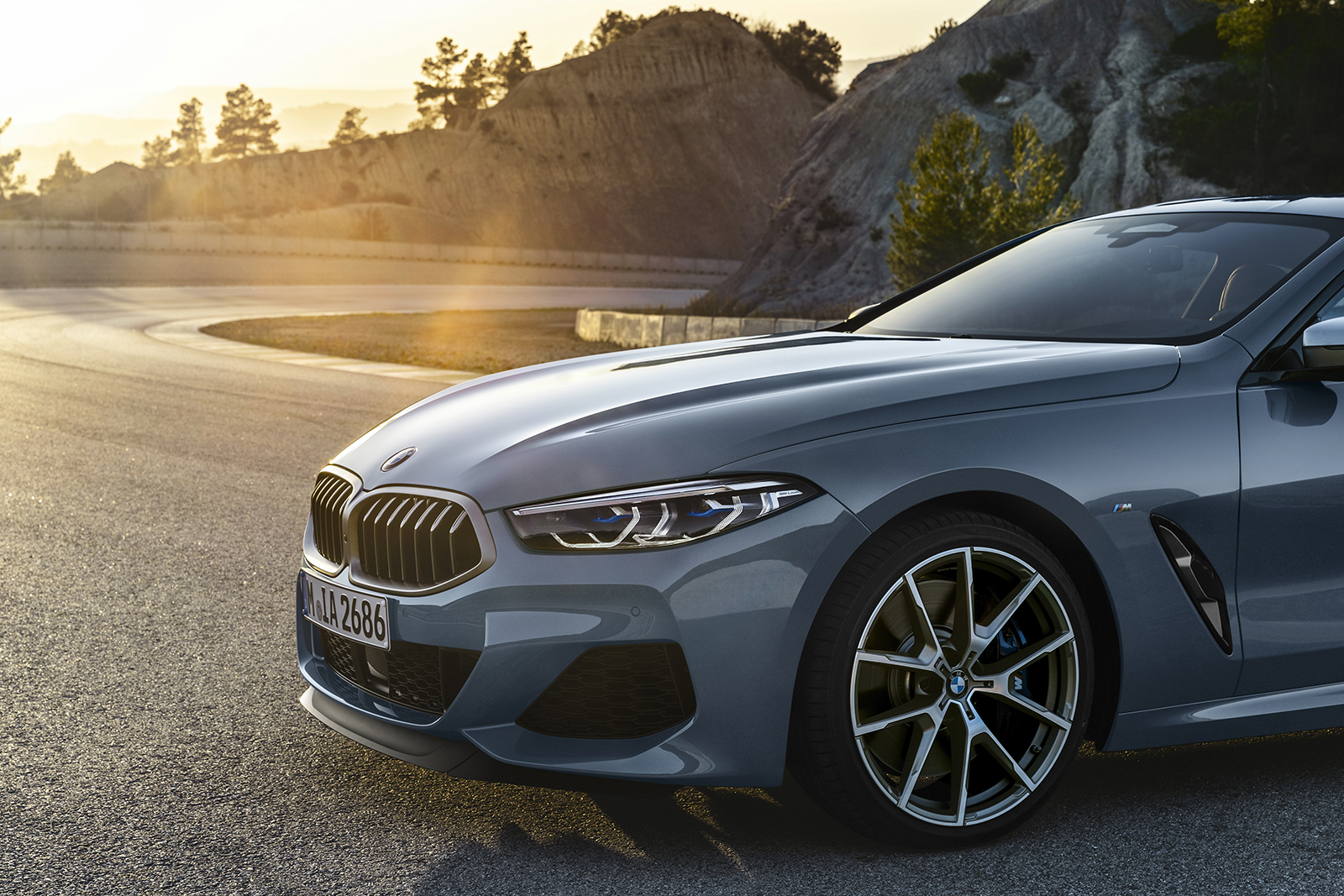 2019 bmw 8 series pictures specs  6